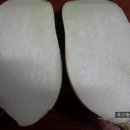 일반농장 이미지