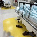 채석포펜션 | 24년 5월 기록