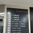 곰돌이스타약국 이미지