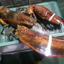 종합수산시장 이미지