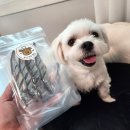 미식견의 주방 이미지