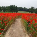 상상농장1 이미지