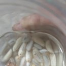 반딧불농원 이미지