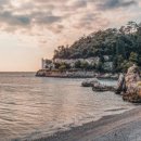 리코(rico) 이미지