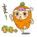 강아지정원 이미지