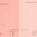 앵두 발바닥