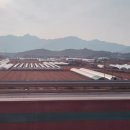 황전 경로당 네이버블로그