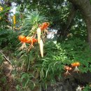 옥산민박 이미지