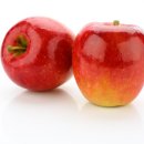 와이디짐 이미지