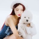 예송 이미지