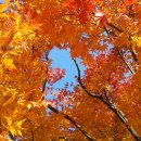 효원약국 이미지