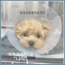 임재성동물의료센터 이미지