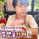별앤숲카페 | 카페] 동두천드라이브코스 후 디저트 카페 아이랑...아메리카노,딸기프라페,초코스콘,몽블랑 후기)