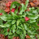 여주온천 이미지