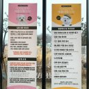미용하고 가개 | [용인애견까페] 어몽더독 실내외운동장 너무 잘되어있는 포토존맛집 재방문각