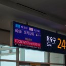 2147 | 오키나와 4월 여행, 5월 여행, 대한항공 KE2147 탑승후기, OTS 렌터카 픽업, 오키나와 전기차, 현대...