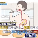 ◎■11월23일★월요일■◎당뇨예방~혈당감소~위에좋은 양배추 먹는법 이미지