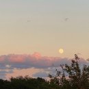 다오레펜션