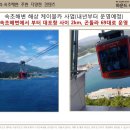스테이 하운드 이미지