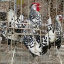 부천농장 이미지