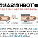 조이 동물 재활클리닉 이미지
