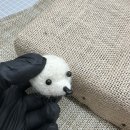 씨씨크래프트