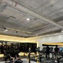 구디라이프 이미지