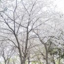 우암동 체육공원 이미지