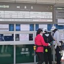 파크골프공원 파크골프장 | 안양 새물공원 파크골프장에서 파크골프를 즐기다.