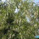 (주)나무연구소 이미지