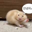 굿모닝골프아카데미 이미지