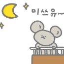 희스테이