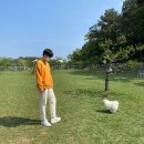 카페 빼로(cafe Perro) 이미지