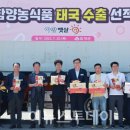 햇살떡 이미지