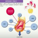센텀기능식품