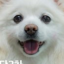 (주)에버셀 이미지