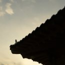 매정마을 이미지