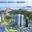 스타팰리스 이미지