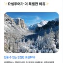 미국여행 샌프란시스코 요세미티 국립공원 투어 요셈투어 최저가 프로모션 중!!