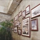 제주청년돼지 이미지