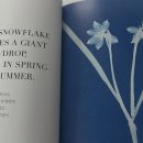 화가와꽃 이미지