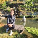 김해대학교 등교날11/1 이미지