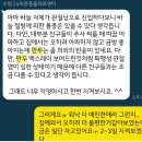 강아지 관절염 관절주사 조인트벡스 비용 증상 기록