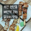 배산역 | 부산 연산동 [닭꼬치 광], 배산역 닭꼬치 맛집/ 이자까야 내돈내산