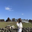 이명목장 이미지