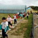 명주초병설유치원 이미지