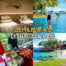 하나로 퍼시픽 투어 이미지