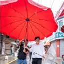 주상전하 이미지
