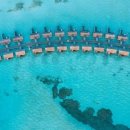 몰디브커피 이미지