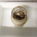 영농조합법인 영인팜 이미지